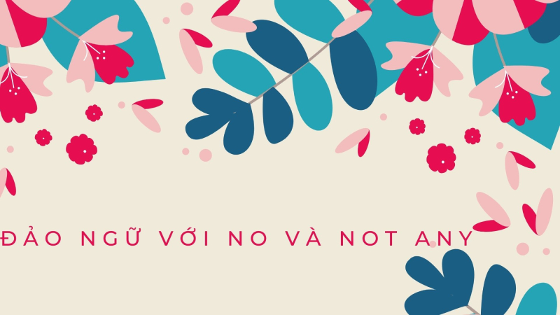 Cấu trúc câu đảo ngữ với NO và NOT ANY